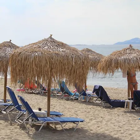 게스트하우스 Haroulena